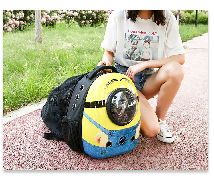 Expandable pet backpack